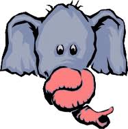 Elefante Tromba Amarrada