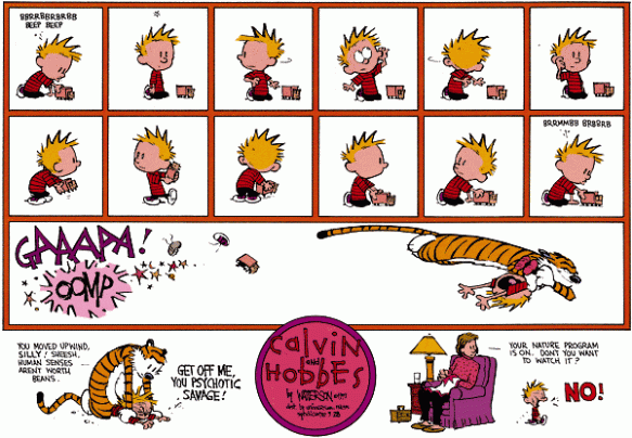 calvin_hobbes_strip