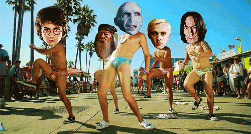 tumblr_n4xdq4avft1slnktgo2_500